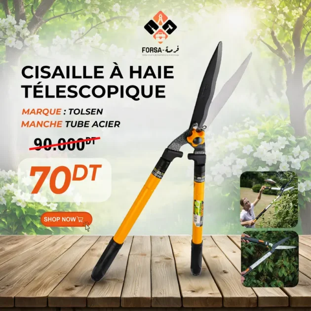 Cisaille à haie télescopique