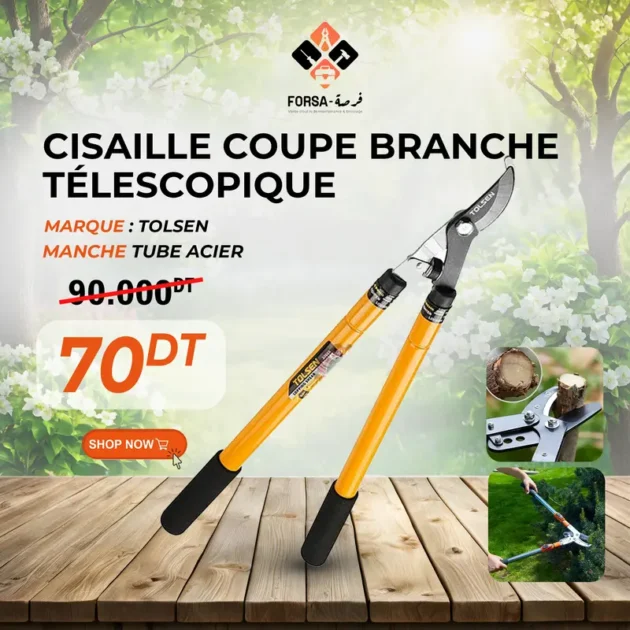 Cisaille coupe branche télescopique