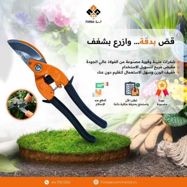 Sécateur de Jardin Professionnel 323-280770323