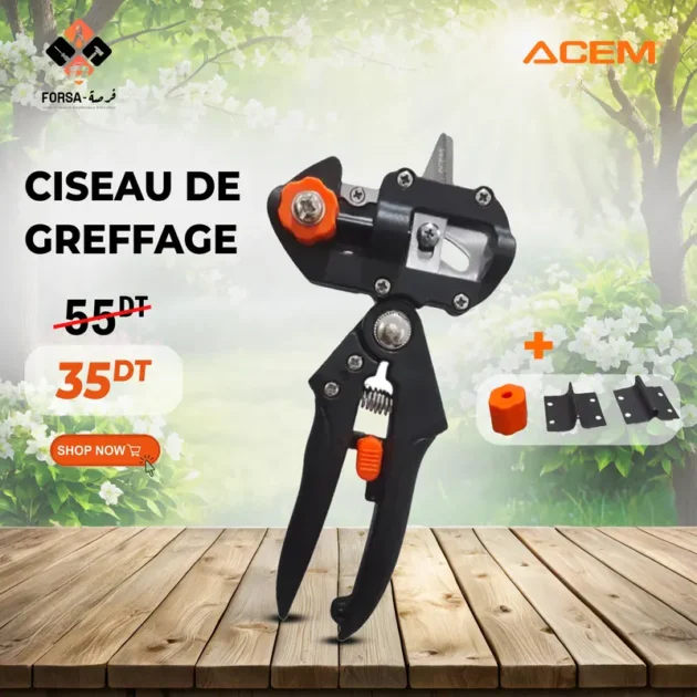 Ciseau de greffage ACEM
